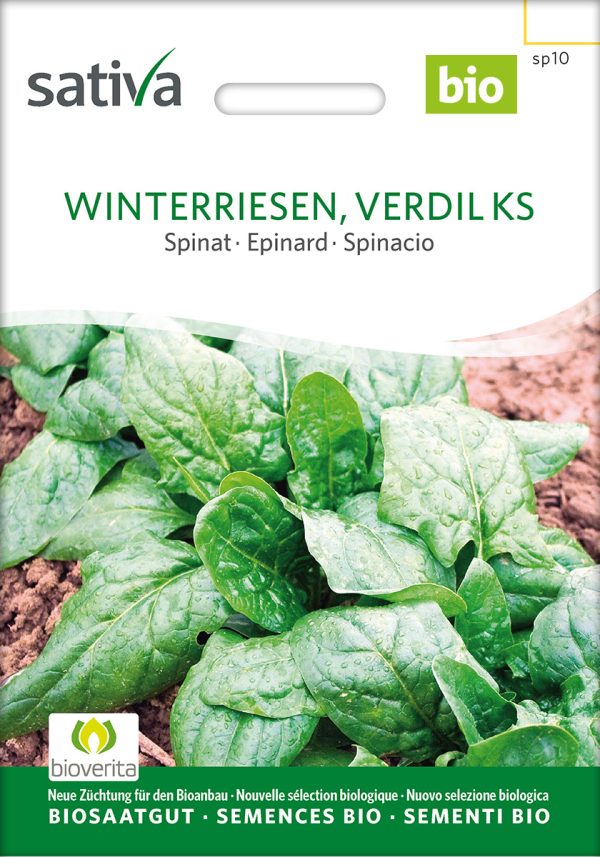 Winterriesen, Verdil KS | BIO Spinat von Sativa