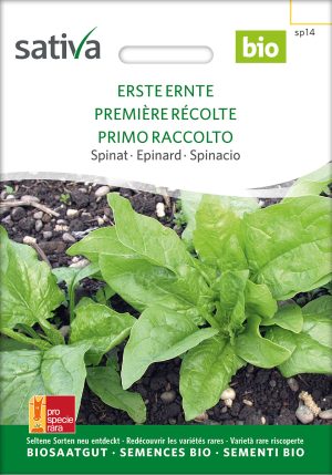 Erste Ernte | BIO Spinat von Sativa samen saatgut demeter kaufen kompost und liebe online shop