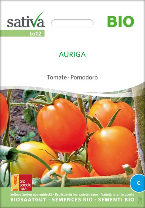 auriga tomate freiland alte sorte bioverita pro specie rara samen bio saatgut sativa kompost&liebe kaufen online shop
