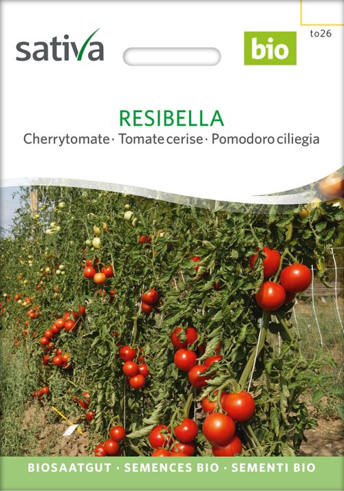 Resibella, bio Normalfrucht Tomate samen saatgut sativa freiland alte sorte bioverita prospeciepara kompost&liebe kaufen online shop Demeter bestellen