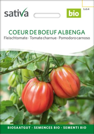 Ochsenherz Albenga (Coeur de Boeuf) Fleischtomate samenfest samen saatgut sativa freiland alte sorte bioverita prospeciepara kompost&liebe kaufen online shop Demeter bestellen