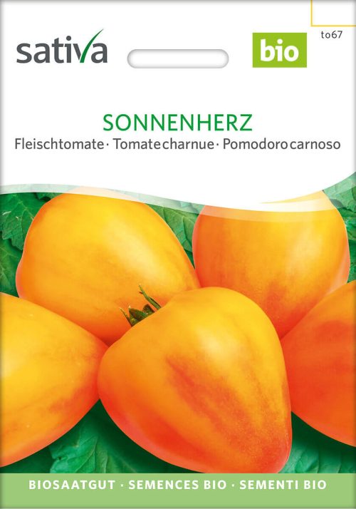 Sonnenherz, bio fleischtomate Ochsenherztomate tomate samen saatgut sativa freiland alte sorte bioverita prospeciepara kompost&liebe kaufen online shop Demeter bestellen