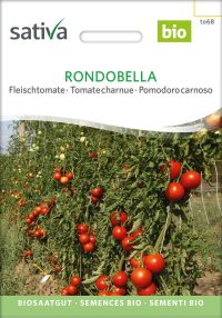 Rondobella, bio fleischtomate Ochsenherztomate tomate samen saatgut sativa freiland alte sorte bioverita prospeciepara kompost&liebe kaufen online shop Demeter bestellen