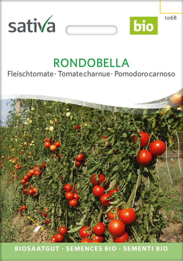 Rondobella, bio fleischtomate Ochsenherztomate tomate samen saatgut sativa freiland alte sorte bioverita prospeciepara kompost&liebe kaufen online shop Demeter bestellen