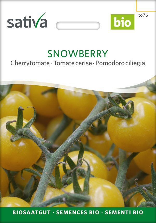 Snowberry Cherrytomate samenfeste samen saatgut sativa freiland alte sorte bioverita prospeciepara kompost&liebe kaufen online shop Demeter bestellen