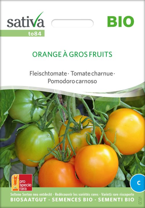Orange Ã€ Gros Fruits bio fleischtomate tomate samen saatgut sativa freiland alte sorte bioverita pro specie rara samen bio saatgut sativa kompost&liebe kaufen online shop
