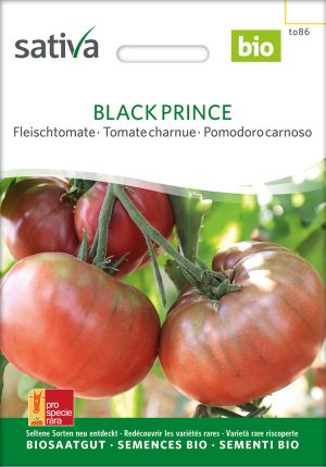 Black Prince bio Fleischtomate samenfest samen saatgut sativa freiland alte sorte bioverita prospeciepara kompost&liebe kaufen online shop Demeter bestellen