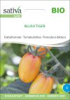 blush tiger bio datteltomate tomate samen saatgut sativa freiland alte sorte bioverita pro specie rara samen bio saatgut sativa kompost&liebe kaufen online shop
