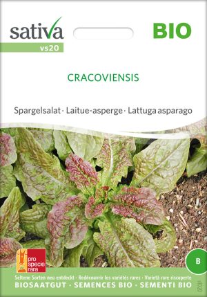 kolibri grasse typ spargelsalat pflücksalat freiland rotSaatgut,Bio Sativa kompost und liebe kaufen alte sorten samenfest online shop garten selbstversorger kaufen bestellen