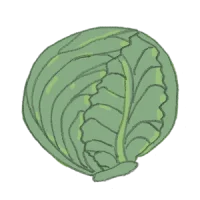 weisskohl rotkohl kaufen samenfest sativa alte sorten vielfalt garten anbauen pflanzen reinsaat kompost&liebe kompost und liebe bio demeter düngung saatgut samen