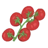 Wildtomaten