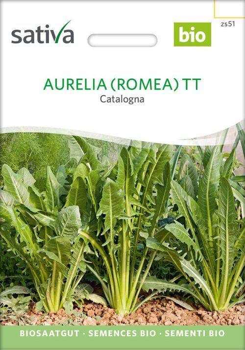Aurelia catalogna Blattzichorie salat freiland Saatgut,Bio Sativa kompost und liebe kaufen alte sorten samenfest online shop garten selbstversorger kaufen bestellen