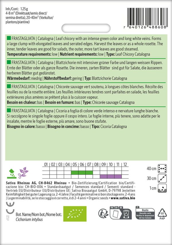 Frastagliata catalogna Blattzichorie salat freiland Saatgut,Bio Sativa kompost und liebe kaufen alte sorten samenfest online shop garten selbstversorger kaufen bestellen