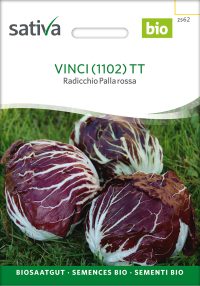 Vinci TT Radicchio zichorie chicoree Saatgut,Bio Sativa kompost und liebe kaufen alte sorten samenfest online shop garten selbstversorger permakultur kaufen