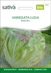 Variegata Lusia - Radicchio zichorie chicoree Saatgut,Bio Sativa kompost und liebe kaufen alte sorten samenfest online shop garten selbstversorger permakultur kaufen