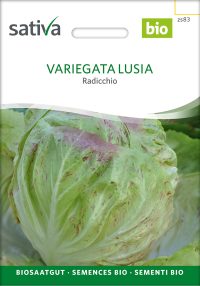 Variegata Lusia - Radicchio zichorie chicoree Saatgut,Bio Sativa kompost und liebe kaufen alte sorten samenfest online shop garten selbstversorger permakultur kaufen