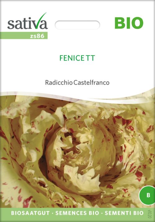 Fenice TT Radicchio zichorie chicoree Saatgut,Bio Sativa kompost und liebe kaufen alte sorten samenfest online shop garten selbstversorger permakultur kaufen