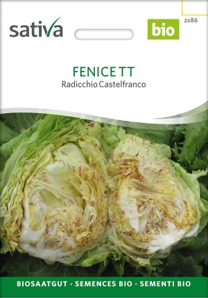 Fenice TT Radicchio zichorie chicoree Saatgut,Bio Sativa kompost und liebe kaufen alte sorten samenfest online shop garten selbstversorger permakultur kaufen