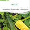 mutabile zucchini alte sorte bioverita pro specie rara samen bio saatgut sativa kompost&liebe kaufen online shop