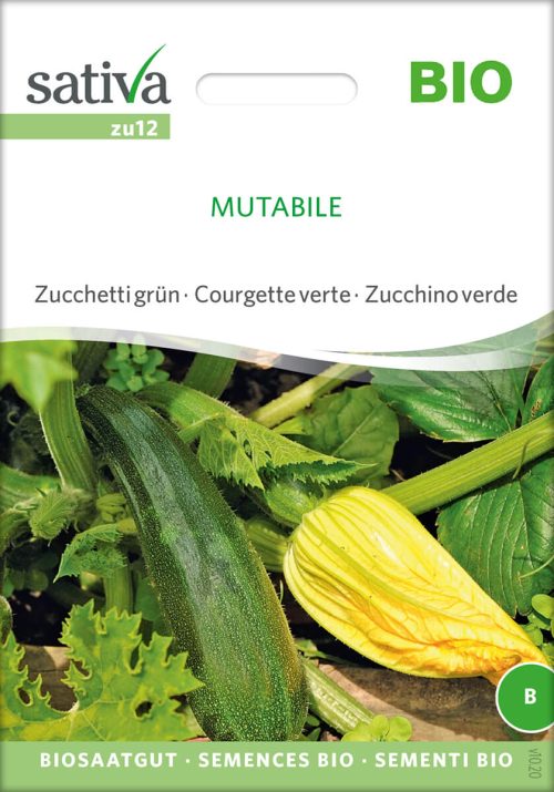 mutabile zucchini alte sorte bioverita pro specie rara samen bio saatgut sativa kompost&liebe kaufen online shop