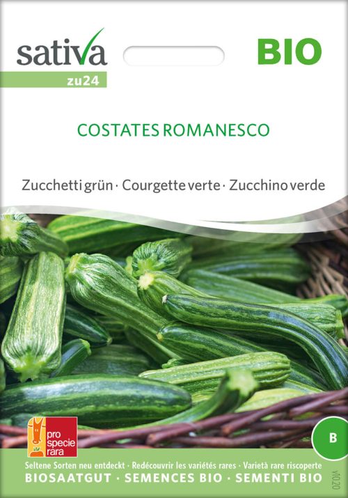 costates romanesco zucchini alte sorte bioverita pro specie rara samen bio saatgut sativa kompost&liebe kaufen online shop