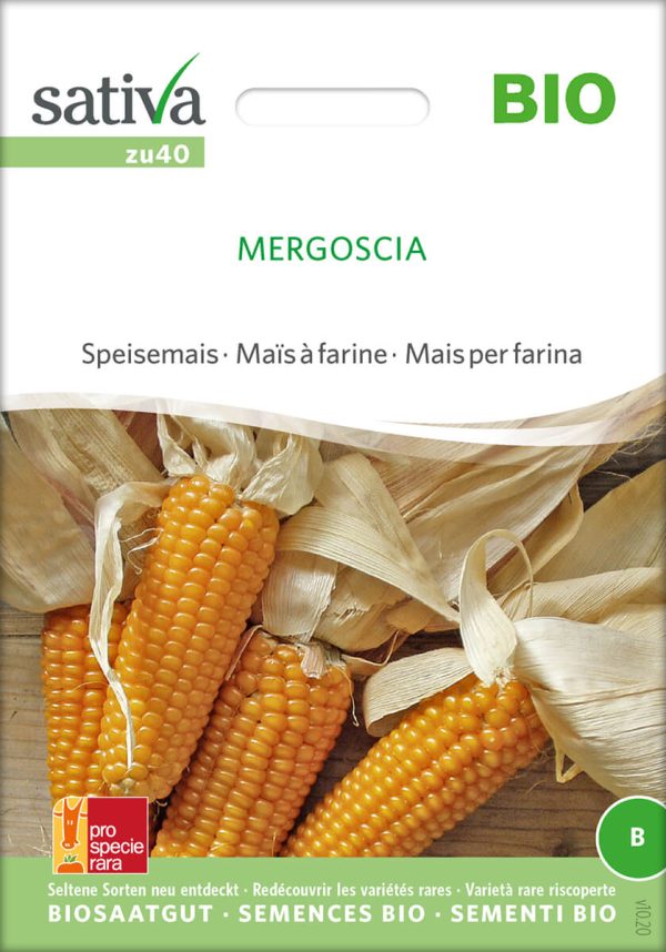 mergoscia speisemais zuckermais freiland rotSaatgut,Bio Sativa kompost und liebe kaufen alte sorten samenfest online shop garten selbstversorger