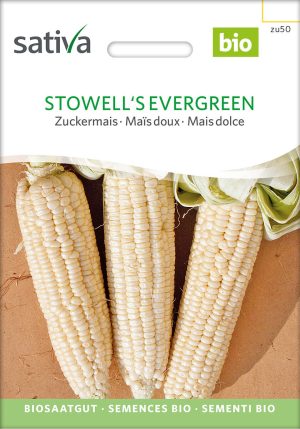 stowells evergreen stowell´s speisemais zuckermais freiland rotSaatgut,Bio Sativa kompost und liebe kaufen alte sorten samenfest online shop garten selbstversorger