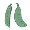 zuckererbse kefe bio saatgut kaufen samenfest sativa alte sorten vielfalt garten anbauen pflanzen reinsaat kompost&liebe kompost und liebe bio demeter düngung saatgut samen