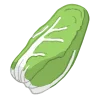zuckerhut Endiviensalat zichoriensalat chicoree bio saatgut kaufen samenfest sativa alte sorten vielfalt garten anbauen pflanzen reinsaat kompost&liebe kompost und liebe bio demeter düngung saatgut samen