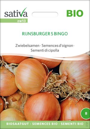 rijnsburger 5 Bingo zwiebelsamen gemüsezwiebel samenfeste alte sorte karotte möhre bioverita pro specie rara samen bio saatgut sativa kompost&liebe kaufen online shop