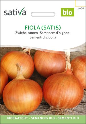 fiola Sat 15 zwiebelsamen gemüsezwiebel samenfeste alte sorte karotte möhre bioverita pro specie rara samen bio saatgut sativa kompost&liebe kaufen online shop bestellen